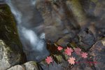 IMG_9431