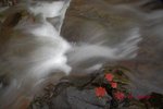 IMG_9439