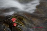 IMG_9443