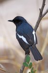 IMG_2050