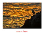 IMG_6109 a
