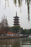 IMG_8821