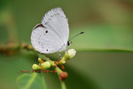 DANL0765a