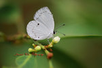 DANL0769a