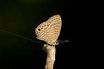 aIMG_7395