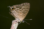 aIMG_7400