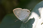aIMG_7413