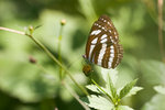 aIMG_7420