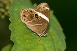 aIMG_7424