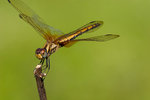aIMG_7432