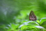 IMG_2515
