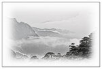 山中雲霧
