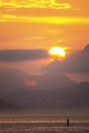 IMG_5387 1200