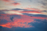 IMG_5607 A
