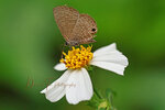 AIMG_7175