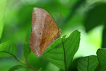 aIMG_9404