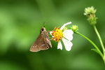 aIMG_9419
