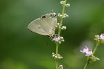 aIMG_9430