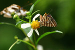aIMG_9432