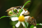 aIMG_9433