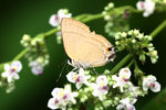 aIMG_9435