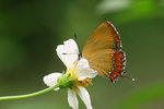 aIMG_9437