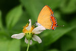aIMG_9439