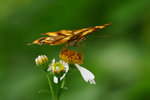 aIMG_9442