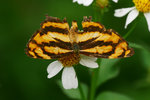 aIMG_9443
