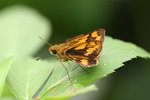 aIMG_9447