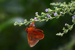 aIMG_9454