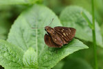 aIMG_9457