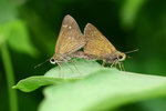 aIMG_9458
