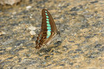 aIMG_9479