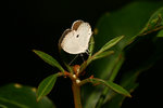 aIMG_9485