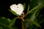 aIMG_9487