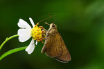 aIMG_9497