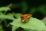 aIMG_9507