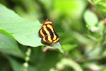 aIMG_9512