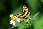 aIMG_9516