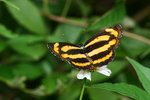 aIMG_9517