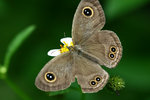 aIMG_9521
