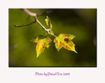 aIMG_8316a