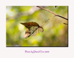 aIMG_8339a