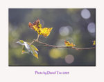 aIMG_8351a
