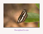 aIMG_8374a