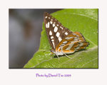 aIMG_8408a