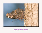 aIMG_8411a