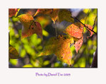 aIMG_8455a
