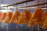 IMG_6232